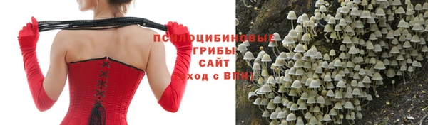 прущая мука Осинники
