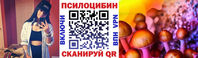 Купить где  Пролетарск  Псилоцибиновые грибы мухоморы 